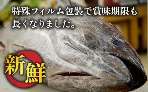 【全6回定期便】五島列島産 養殖 生本かみマグロ 赤身 中トロ 計約500g / まぐろ 鮪 刺身 ブロック