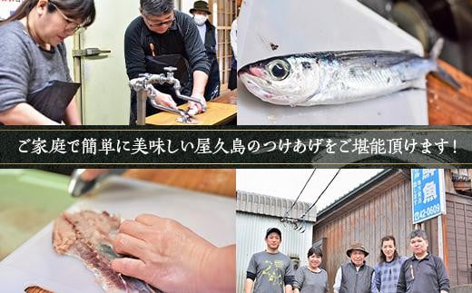 屋久島 魚すりみ 360g×6パック＜屋久島名産のトビウオ使用＞【すり身 すりみ すり身揚げ さつま揚げ 魚 さかな 海産物 魚介 魚介類 トビウオ とびうお とび魚 飛魚 人気 おすすめ お取り寄せ 鹿児島県 屋久島町 ZD102】