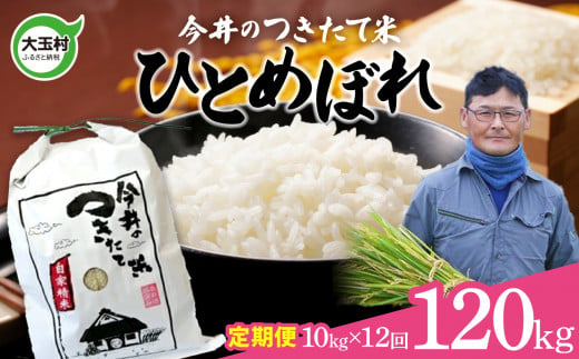 【 令和6年産 新米 】【 今井のつきたて米 】大玉村 米 定期便 120kg ひとめぼれ （毎月 10kg × 12回 ）  【OT08-018-R6】 今井農園 福島県 米作り 令和6年 お米 