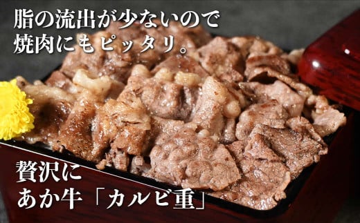 117-24　オアシス九州　熊本県産あか牛 切り落とし 1ｋg スライス　 すき焼き用 (250g×4パック) 小分け 冷凍