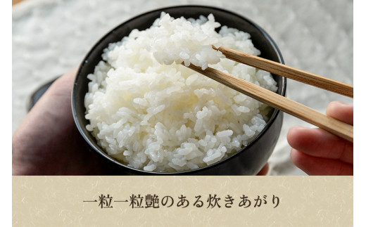 【令和6年産新米先行予約】新潟産コシヒカリ「かも米」精米5kg 白米真空パック 【無農薬・無化学肥料】 従来品種コシヒカリ 加茂市 織原農園