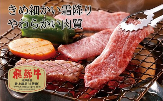 飛騨牛 焼肉 ロース 600g A5 和牛牛肉 ブランド牛 BBQ バーベキュー 贈り物 贈答 ギフト キャンプ アウトドア  炭火