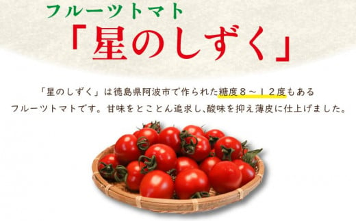 【 先行予約 】 トマト ジャム 2本 セット 《2024年11月上旬～順次出荷》 野菜 トマト フルーツトマト 完熟 高糖度 糖度 8度 以上 ギフト 贈答用 星のしずく