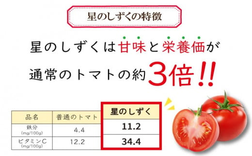 【 先行予約 】 トマト ジャム 2本 セット 《2024年11月上旬～順次出荷》 野菜 トマト フルーツトマト 完熟 高糖度 糖度 8度 以上 ギフト 贈答用 星のしずく