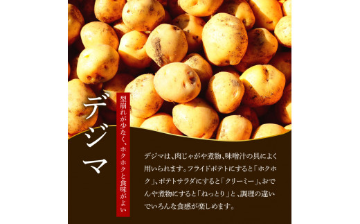 【四国一小さなまちのじゃがいも】★令和５年１２月中旬発送開始★ 大野台地で採れた『 令和５年産 秋じゃが 』 １０ｋｇ