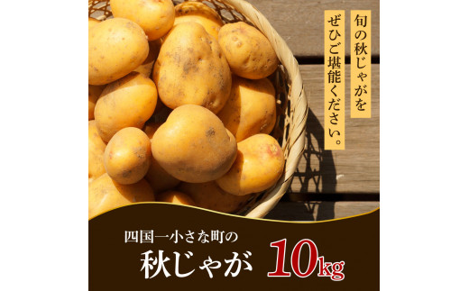 【四国一小さなまちのじゃがいも】★令和５年１２月中旬発送開始★ 大野台地で採れた『 令和５年産 秋じゃが 』 １０ｋｇ