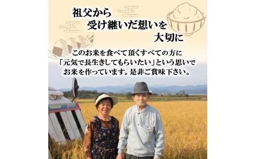 新米 米 お米 無洗米 孫兵衛のあきたこまち 5kg 秋田県 能代市産 令和6年産