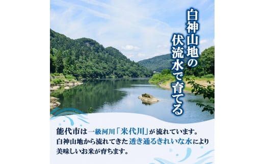 新米 米 お米 無洗米 孫兵衛のあきたこまち 5kg 秋田県 能代市産 令和6年産