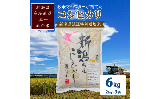 米 お米マイスターが育てた特別栽培米 コシヒカリ 上越頸城産 令和5年産 6kg(2kg×3袋)白米 お米 こめ 食品