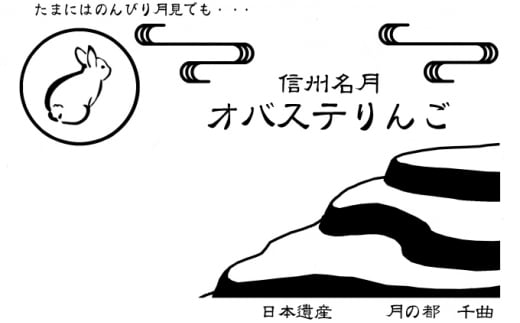 太陽の恵みたっぷり りんご 秋映 約5kg | 果物 フルーツ りんご リンゴ 林檎 信州りんご 信州産 長野県産りんご 秋映 あきばえ 千曲市 長野県 信州 先行予約