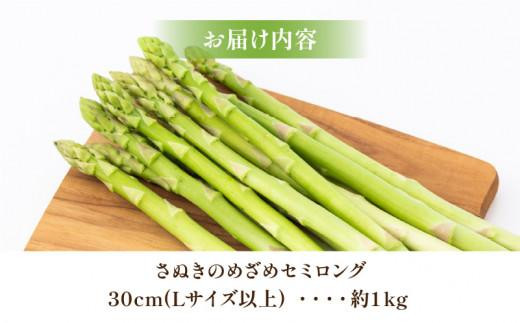 柔らかさ抜群! さぬきのめざめセミロング30cm(Lサイズ以上) 約1kg【2025-3月上旬～2025-3月下旬配送】