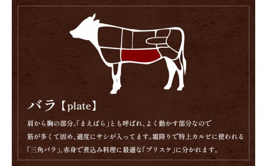 【先行予約】【和牛セレブ】能登牛 牛バラ 焼肉 500g（200g+300g）【2026年1月20日以降順次発送】
