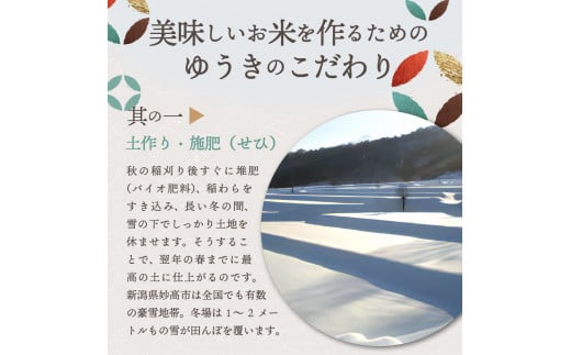 【2026年4月中旬発送】【令和7年産米】新潟県妙高産斐太の里コシヒカリ「旬」5kg