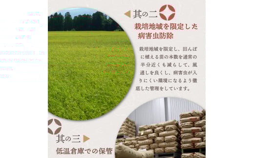 【2026年4月中旬発送】【令和7年産米】新潟県妙高産斐太の里コシヒカリ「旬」5kg