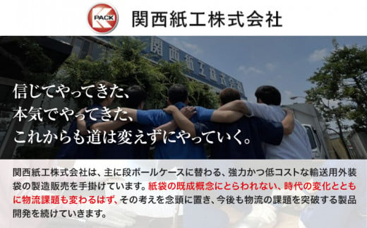 あったか 非常用 寝袋 3点セット 関西紙工《30日以内に出荷予定(土日祝除く)》大阪府 羽曳野市 クラフト製防災寝袋 難燃性フリース毛布 エアーマット エアーポンプ 各1個 段ボール梱包 災害 防災 災害時 防災グッズ 非常時 送料無料【配送不可地域あり】 