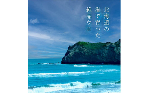 ≪贈り物≫ 福雲丹80g(バフン　北海道産)　ウニ うに 雲丹 熟成製法 冷凍可能 1パック バフンウニ 赤ウニ 余市町 北海道 魚介類 目利き 世壱屋 ギフト 包装