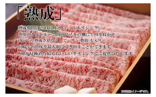 宮崎牛 A4 ロース 赤身 スライス セット 各250g 計500g すき焼きのタレ付き ギフト箱入り [南海グリル 宮崎県 美郷町 31bg0009] 冷凍 ブランド牛 送料無料 国産 牛 肉 南海グリル 贈り物 プレゼント ギフト 父の日 母の日 お歳暮 特製たれ ３D急速高湿冷凍 旨味 リブロース モモ