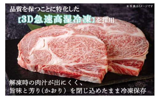 宮崎牛 A4 ロース 赤身 スライス セット 各250g 計500g すき焼きのタレ付き ギフト箱入り [南海グリル 宮崎県 美郷町 31bg0009] 冷凍 ブランド牛 送料無料 国産 牛 肉 南海グリル 贈り物 プレゼント ギフト 父の日 母の日 お歳暮 特製たれ ３D急速高湿冷凍 旨味 リブロース モモ