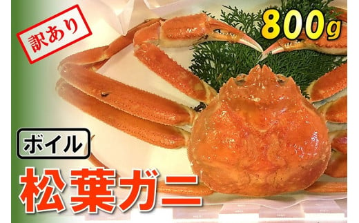 1538 【魚倉】足1本なしボイル松葉ガニ (大800g) 訳あり