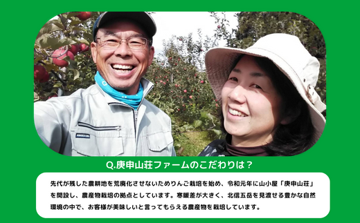 りんご サンふじ 贅沢な 家庭用 10kg 庚申山荘ファーム 沖縄県への配送不可 2024年11月中旬頃から2024年12月下旬頃まで順次発送予定 令和6年度収穫分 信州 果物 フルーツ リンゴ 林檎 長野 25000円 予約 農家直送 長野県 飯綱町 [1478]