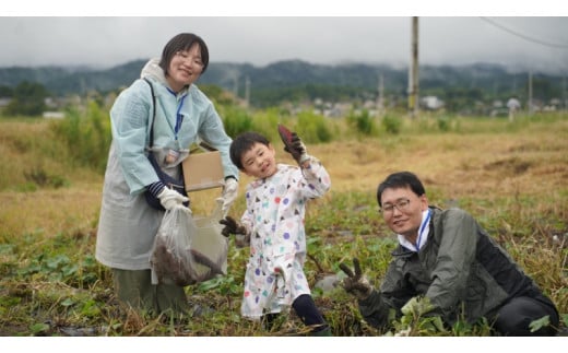 ＜早割A＞2025年度おいも株オーナー制度1口セット ふくしまゴールド【芋 さつまいも 福島県産 福島 2kg ふくしまゴールド 株 オーナー おいも 株オーナー 産地直送 楢葉町  楢葉 セット】