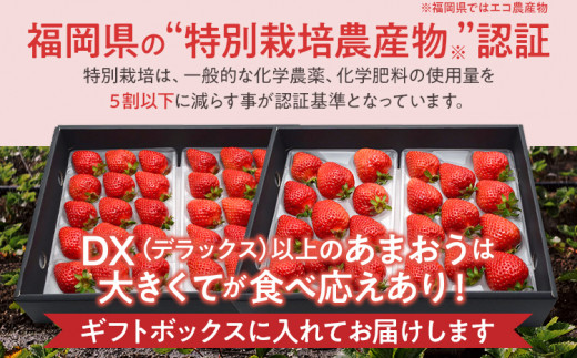 特別栽培認証あまおう ギフト DX等級以上 1箱セット あまおう イチゴ 苺 いちご フルーツ 果物 くだもの 福岡県産 お取り寄せグルメ お取り寄せ 福岡 お土産 九州 福岡土産 取り寄せ グルメ 福岡県