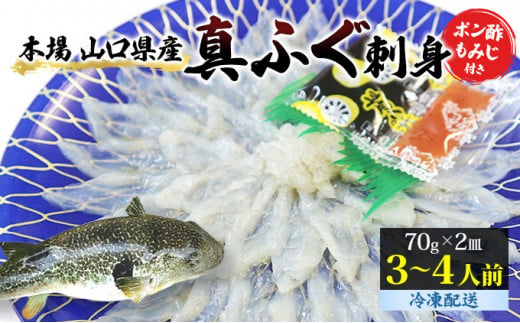 [№5226-0204]ふぐ 刺身 真ふぐ 140g (70g×2皿) 山口県産 フグ 刺し身 魚 魚介 魚介類 海鮮 天然