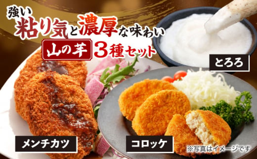 やまいも 贈答 ギフト 特産品 産地直送 取り寄せ お取り寄せ 送料無料 広島 三次 15000円