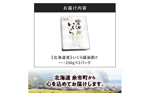 醤油いくら 250g×2パック いくら醤油漬け ギフト 北海道産