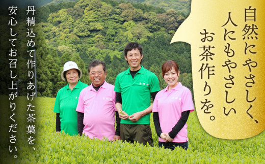 【全3回定期便】「1番茶の濃厚な旨味！」さざの 有機栽培茶  極  （100g×3本/回）【宝緑園】 [QAH022]