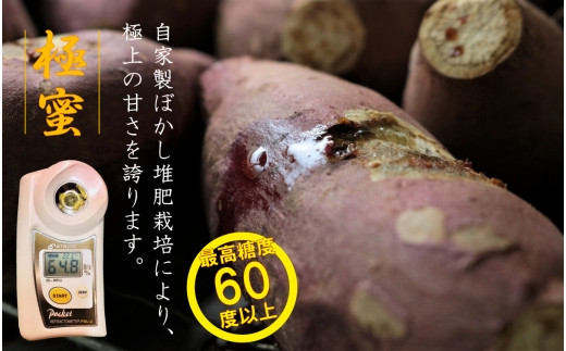 感動さつまいも【冷凍焼芋】紅はるか500g×5パック