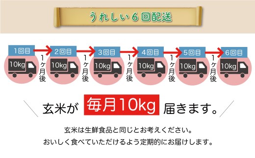 ＜令和6年産米＞ 鮭川村 雪若丸 【玄米】 60kg 定期便（10kg×6回発送）＜配送時期選べます＞