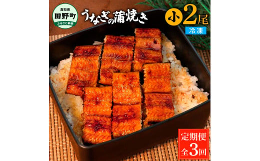 田野町産うなぎの蒲焼き(小) 2尾×3回 定期便 3ヶ月 定期コース 1尾あたり90～120g タレ付き 山椒付き うなぎ 鰻 ウナギ 蒲焼き かば焼き 無頭 おいしい 国産 お取り寄せ 冷凍 配送