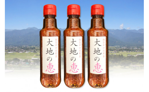 にんにくドレッシング 「大地の恵」 中辛 200ml×3本 [矢口農園 長野県 池田町 48110488] 