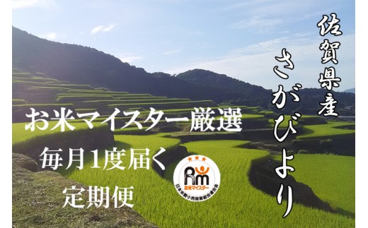 【定期便 12ヶ月】 佐賀県産 さがびより 白米 5kg 《12ヶ月連続 毎月お届け》 12回 K-4