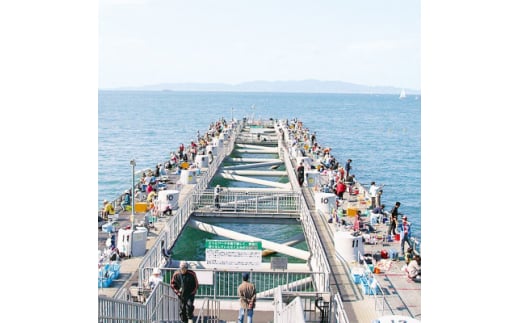 岬町海釣り公園・とっとパーク小島利用券＜ファミリーセット＞【1267400】