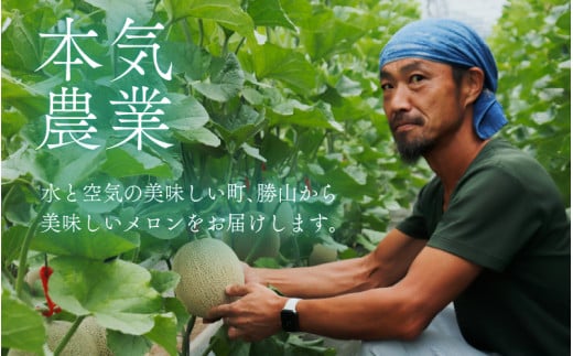 勝山産アールスメロン 1個入り 化粧箱（赤肉）※2024年7月下旬～8月中旬頃発送 [A-060002]