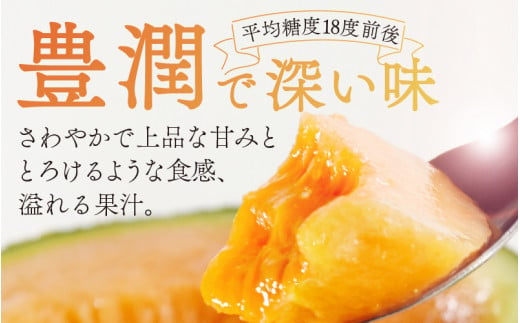 勝山産アールスメロン 1個入り 化粧箱（赤肉）※2024年7月下旬～8月中旬頃発送 [A-060002]