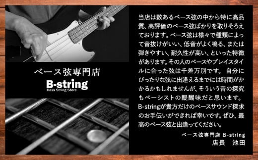 ベース弦専門店B-stringオリジナル高品質ハンドメイドベース弦 ステンレスタイプ 《30日以内に出荷予定(土日祝除く)》岡山県 笠岡市 送料無料