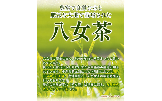 福岡銘茶八女茶 5種特選セット 株式会社マル五《30日以内に出荷予定(土日祝除く)》お茶 緑茶 茶 冷茶 煎茶