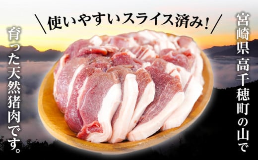 天然猪肉 スライス 700g 宮崎県高千穂町産 ジビエ A74