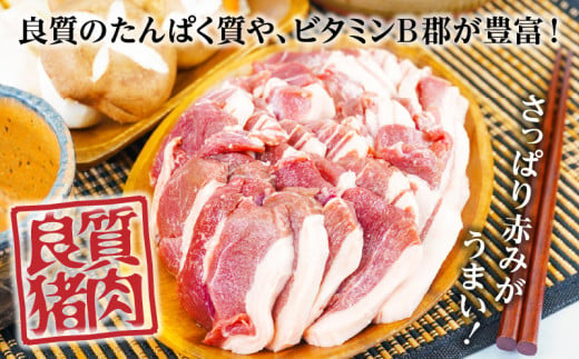 天然猪肉 スライス 700g 宮崎県高千穂町産 ジビエ A74