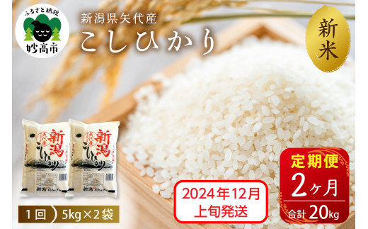 【2024年12月上旬発送】【定期便】令和6年産 新潟県矢代産コシヒカリ10kg(5kg×2袋)×2回（計20kg）