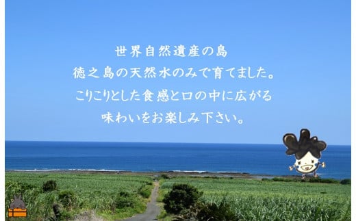 返礼品事業者さんよりレターパックライトでお届け致します！