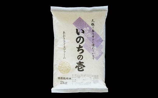 【令和6年産 新米 先行予約】 【金賞受賞農家】 《定期便6回》 特別栽培米 いのちの壱 2kg×6か月 《令和6年10月中旬～発送》 『あおきライスファーム』 山形南陽産 米 白米 精米 ご飯 農家直送 山形県 南陽市 [1597-R6]