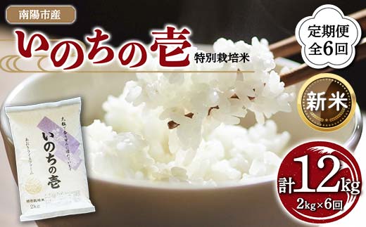 【令和6年産 新米 先行予約】 【金賞受賞農家】 《定期便6回》 特別栽培米 いのちの壱 2kg×6か月 《令和6年10月中旬～発送》 『あおきライスファーム』 山形南陽産 米 白米 精米 ご飯 農家直送 山形県 南陽市 [1597-R6]