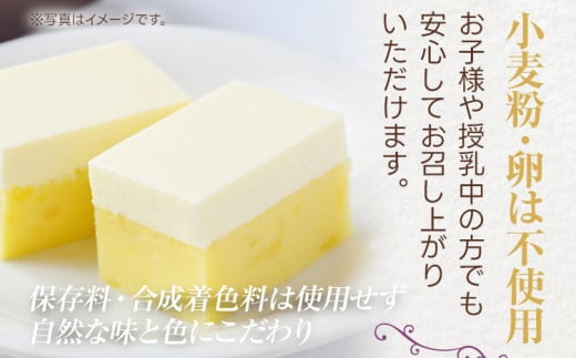 おいもっち ニューフェイス 4姉妹 さつまいも チーズケーキ スイーツ 芋 クリームチーズ ギフト 贈り物