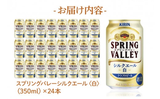 AB078　キリンビール取手工場産　スプリングバレー2種350ml×48本