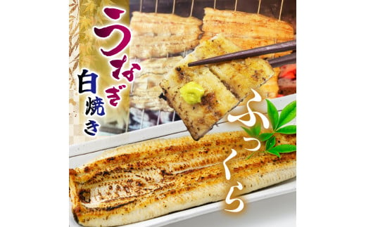 【定期便・年６回偶数月発送】特選ふっくら朝焼きうなぎ（白焼き大３尾）| 特選ふっくら朝焼きうなぎ 林屋 白焼き 特選白焼き 白焼きうなぎ 高級林屋 栃木県 那珂川町 送料無料