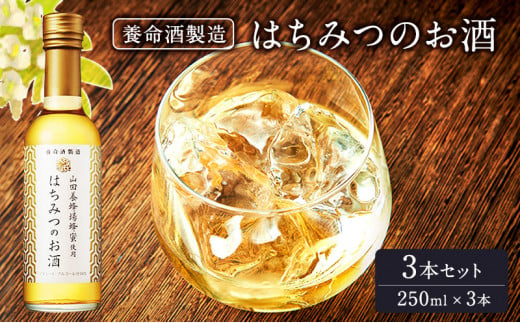 養命酒製造「はちみつのお酒」3本セット（250ml×3本） [№5659-1516]